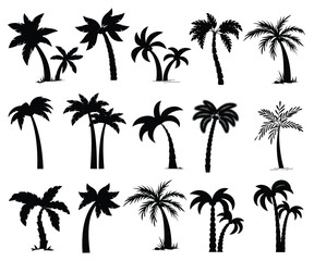 Fototapeta na wymiar Coconut tree Silhouette