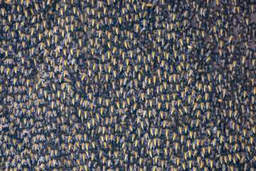 Background of a large group of Bees live together in groups. Most of the food is nectar from flowers.