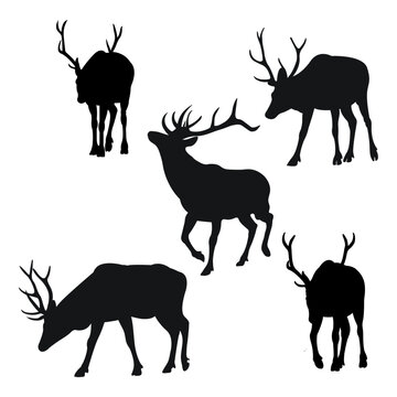 Image of silhouettes of wild animals, deer. Christmas decoration doodle