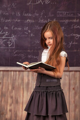 Cute first grader girl in school uniform reading book at blackboard in classroom, interesting. Adorable child schoolgirl with book posing inside. School learning, education concept. Copy ad text space