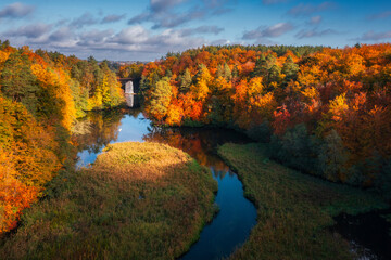 Autumnal landscape of the forest and twisted Radunia river in Kashubia. Poland - obrazy, fototapety, plakaty