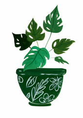 Monstera Gouache Illustration
Isolated on White Background
