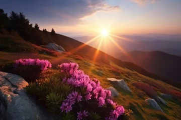 Papier Peint photo Lavable Azalée Mountain sunset with rhododendron flower view. Stunning nature scenery with wild pure nature. Generate ai