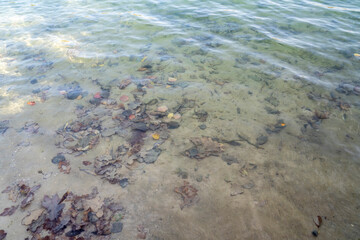 water and sand
