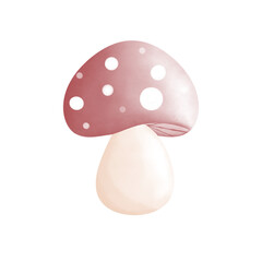 mushroom is a red color 