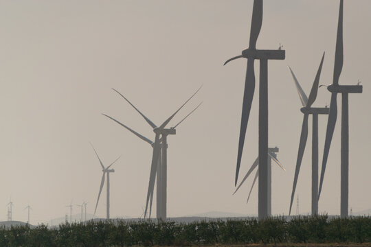 image of a field of renewable energy wind turbines among the fog during the morning in high quality photo