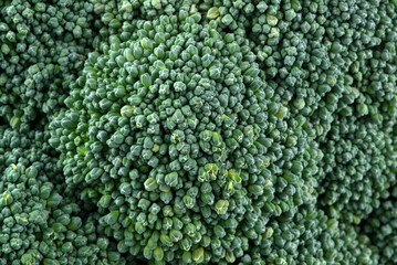 Macro photo of fresh broccoli, backdrop.
