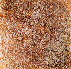 Black bread closeup on white with slice