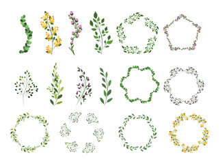 set of floral elements