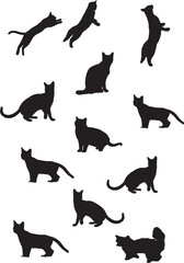 Beautiful 12 Cat silhouette design. This is an beautiful cat silhouette Artwork.
