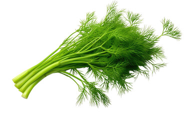 Dill Green On Transparent Background.