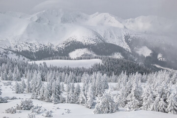 Beautiful snow covered landscape in mountains during cold winter day