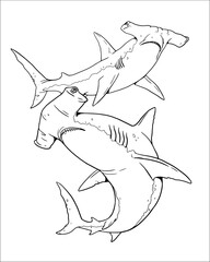 Hammerhead shark to color in. Vector template for a coloring book with sea animals. Colouring page. - obrazy, fototapety, plakaty