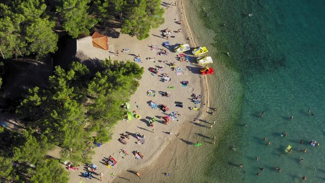 Beach with the pine forest near Pakostane, Adriatic coast in Croatia