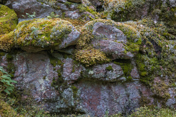 Noux national park during the autumn months in Finland, forest, clean ecology
