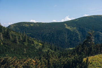 Summer day in the mountains. Mount Shpytsi, Chornohora, Carpathian Mountains