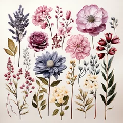 Fotobehang Watercolor purple and pink flowers and leaves, collection of floral illustrations on a light background.Set of watercolor flowers © Margo_Alexa