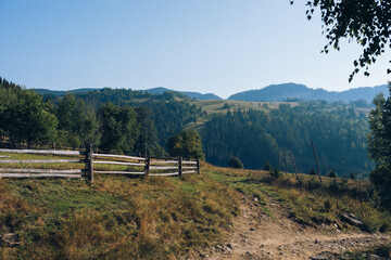 Fototapeta na wymiar Mountain meadow in sunny day. Natural summer landscape.