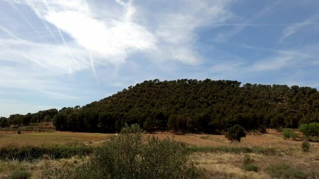 Agricultural area in France with vineyards and olive trees and blue sky with veil clouds