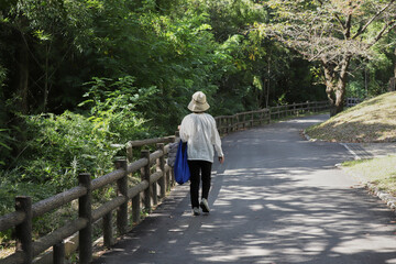 秋の公園の森の散策道で歩くシニア女性の後姿