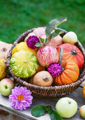 Beautiful florist arrangement with different varieties of pumpkins, squashes and apples on a rustic background. Harvesting or Thanksgiving Day concept