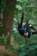 Activity, hanging on a rope. Man is doing climbing in the forest by use of safety equipment