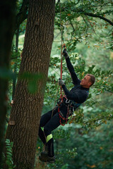Side view, using the rope, hanging. Man is doing climbing in the forest by use of safety equipment