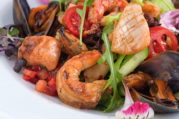 Seafood salad on a white plate