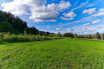 Scenic agriculture landscape with sunflower field on a sunny autumn day. Photo taken October 22nd, 2023, Zurich, Switzerland.