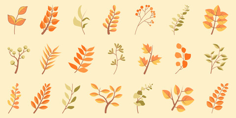 Tree autumn branch collection with leaves. Autumn tree branch for decoration. Set of fall leaves, maple leaf. Different branch leaves for autumn design