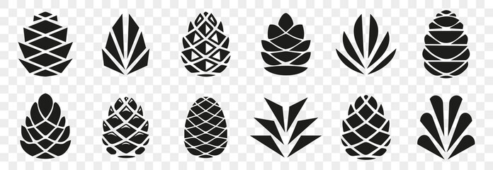 Pine cone icons on a transparent background. Set of simple black pine cone. Pine cone logotype. Set of forest pine branches, cones - obrazy, fototapety, plakaty