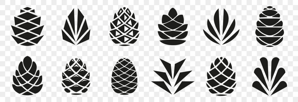 Pine cone icons on a transparent background. Set of simple black pine cone. Pine cone logotype. Set of forest pine branches, cones