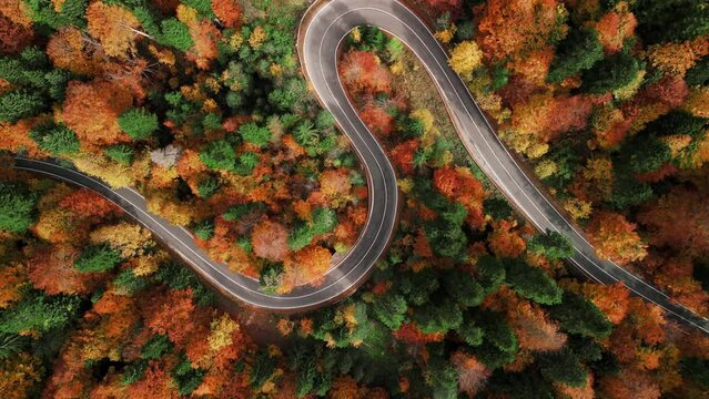 Aerial drone view over curvy road in the mountains. Autumn spreading across countryside. Beautiful curved pass with vehicles and colorful autumn nature colors on trees.Birds eye view over winding road