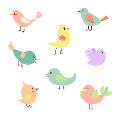 Set of cute birds. Vector flat design, kids illustration. Cartoon style.