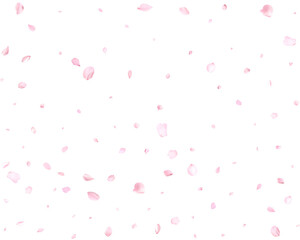 Fototapeta na wymiar Realistic pink sakura petals.