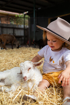 Aussie kid at petting zoo with baby goat animal