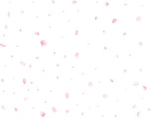 Realistic sakura or cherry petals.