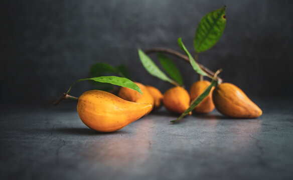 a lot of Canistel, Tiesa, yellow sapote, Pouteria Campechiana,Canistel, ripe, orange, gray background, close-up