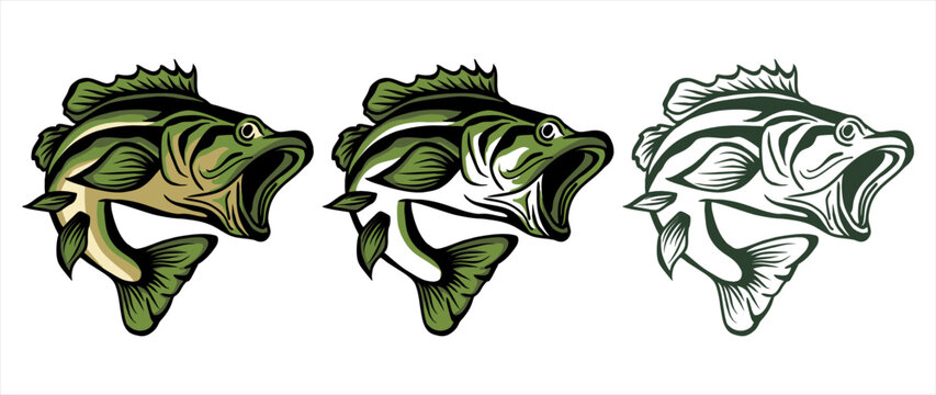 bass large mouth fish jump vector illustration