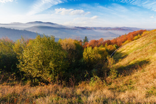 mountainous countryside in autumn. trees on the hills in fall colors. mist in the distant valley in morning light. bright sunny weather with clouds in the blue sky