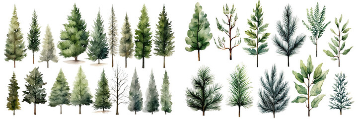 Obraz premium Set of Christmas tree decorate watercolor collection of hand drawn, Grapes elegant watercolor illustration , Christmas Leaf isolated transparent background, PNG