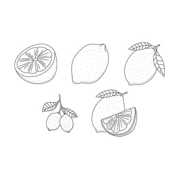 Lemon line icons set vector illustration isolated on white background © arum