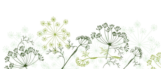Horizontal frame of dill sprigs. Decoration from different parts of dill for decorating jars and labels for selling dill. Seeds, leaves and sprigs of dill are located along the line.