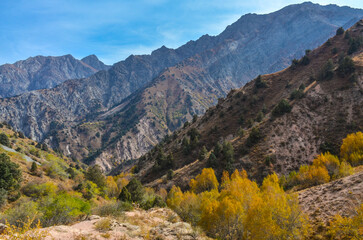 Fototapeta na wymiar Greater Chimgan scenic view from Sandy Pass trail in Chimgan mountains (Bostanliq district, Tashkent region, Uzbekistan)