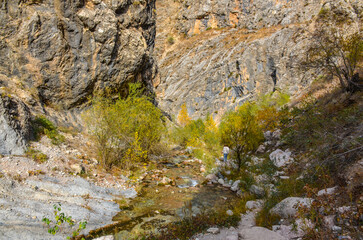 Fototapeta na wymiar Gulkamsay creek in Chimgan mountains (Bostanliq district, Tashkent region, Uzbekistan)
