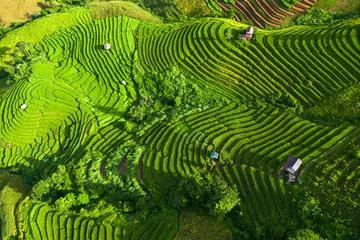 Fotobehang Rijstvelden Top view of rice terrace in Pabongpiang Chiang Mai, Thailand