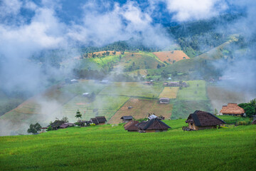 Top view of rice terrace in Pabongpiang Chiang Mai, Thailand