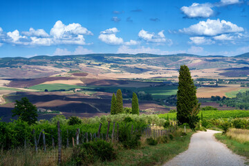 Naklejka premium Rural landscape in Tuscany near San Quirico d Orcia
