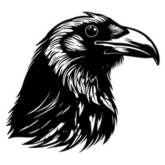 black raven bird in different poses cartoon crow design flat vector animal illustration isolated on white background.