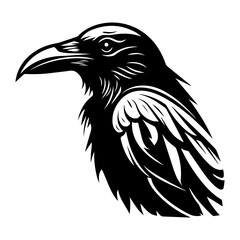 black raven bird in different poses cartoon crow design flat vector animal illustration isolated on white background.